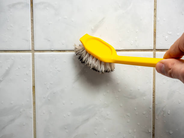  Oakland, TN Mold Removal Pros