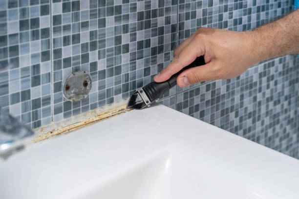 Best Health and Safety Mold Remediation in Oakland, TN