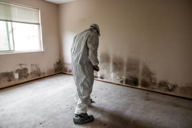 Best Industrial Mold Remediation in Oakland, TN